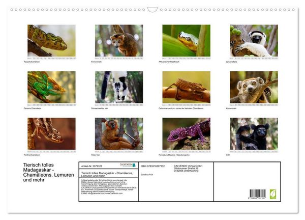 Produktbild: Tierisch tolles Madagaskar - Cham&auml;leons, Lemuren und mehr (Wandkalender 2026 DIN A2 quer), CALVENDO Monatskalender