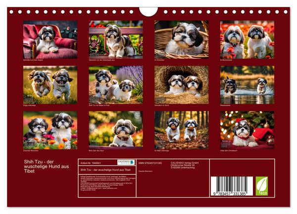 Produktbild: Shih Tzu - der wuschelige Hund aus Tibet (Wandkalender 2026 DIN A4 quer), CALVENDO Monatskalender