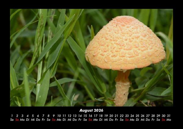 Produktbild: Bilder aus der Natur 2026 Fotokalender DIN A3