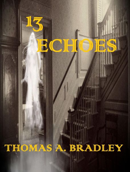 Produktbild: 13 Echoes