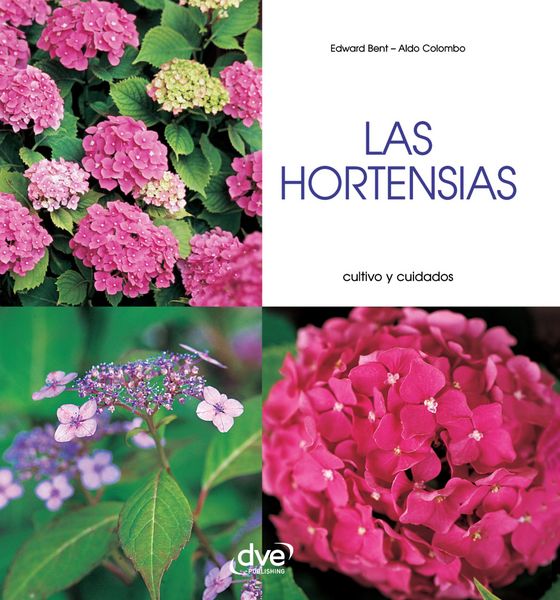 Produktbild: Las hortensias - Cultivo y cuidados