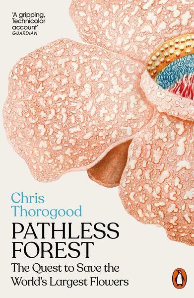 Produktbild: Pathless Forest
