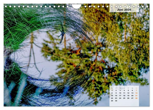 Produktbild: Niedersachsens Moorlandschaften - Das Pietzmoor, Schneverdingen (Wandkalender 2026 DIN A4 quer), CALVENDO Monatskalender