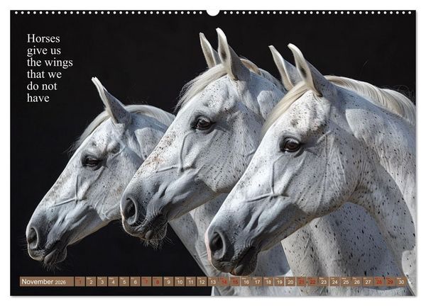 Produktbild: A Horse Makes You Complete (High Quality Premium Wall Calendar 2026 DIN A2 landscape),CALVENDO 12 Month Wall Calendar