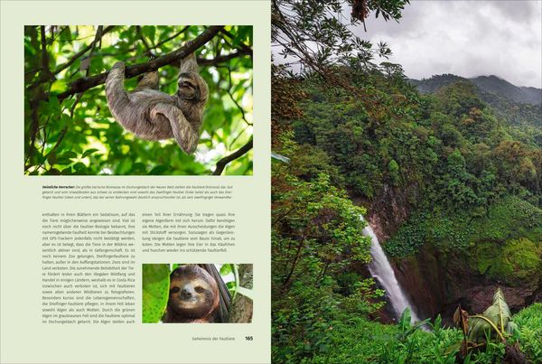 Produktbild: Mein Costa Rica
