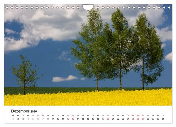 Produktbild: Rapsodie (Wandkalender 2026 DIN A4 quer), CALVENDO Monatskalender