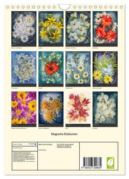 Produktbild: Magische Eisblumen (Wandkalender 2026 DIN A4 hoch), CALVENDO Monatskalender