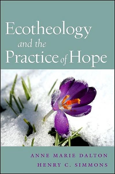 Produktbild: Ecotheology and the Practice of Hope