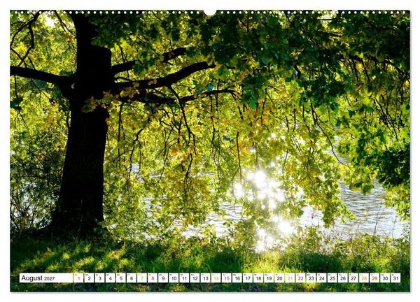 Produktbild: 12 Monate Natur (Wandkalender 2027 DIN A2 quer), CALVENDO Monatskalender