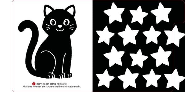 Produktbild: Baby Pixi (unkaputtbar) 170: Mein erstes Kontrastbuch: Farben