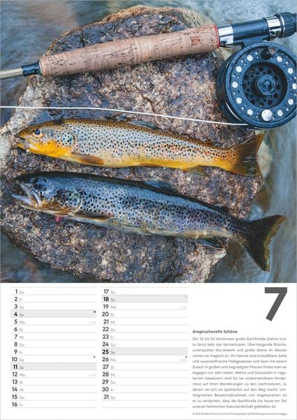 Produktbild: Der gro&szlig;e Angelkalender 2027