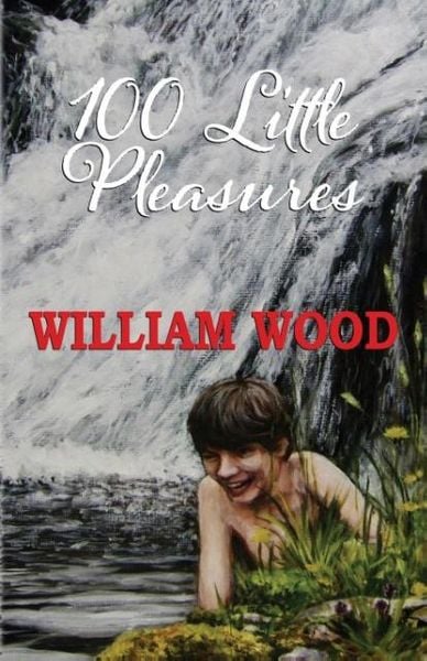 Produktbild: 100 Little Pleasures