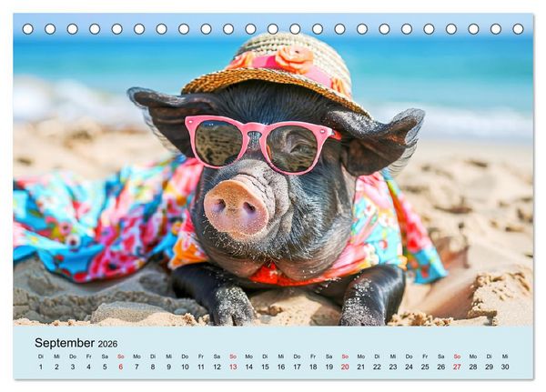 Produktbild: Die sch&ouml;nsten Tiermodels. Schicke Outfits und High Fashion (Tischkalender 2026 DIN A5 quer), CALVENDO Monatskalender