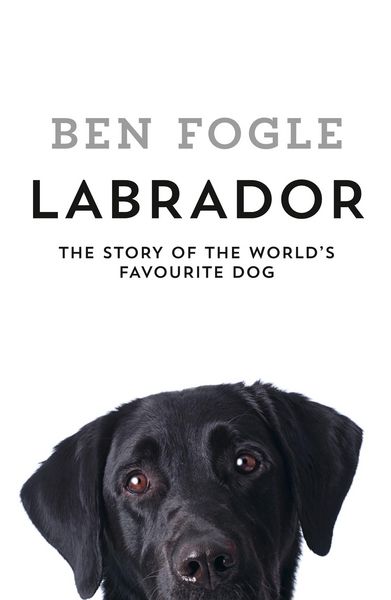 Produktbild: Labrador