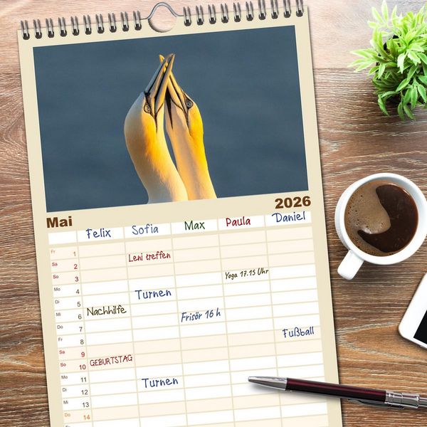 Produktbild: Familienplaner 2026 - Basst&ouml;lpel - Helgolands faszinierende V&ouml;gel mit 5 Spalten (Wandkalender, 21 x 45 cm) CALVENDO