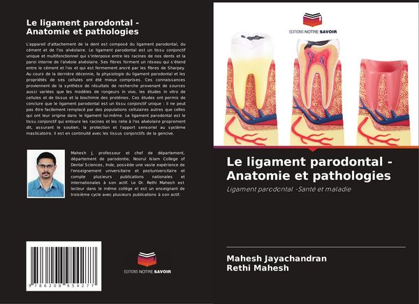 Produktbild: Le ligament parodontal - Anatomie et pathologies
