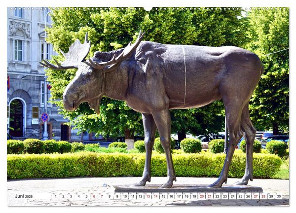 Produktbild: Ostpreu&szlig;ens Elche (hochwertiger Premium Wandkalender 2026 DIN A2 quer), Kunstdruck in Hochglanz