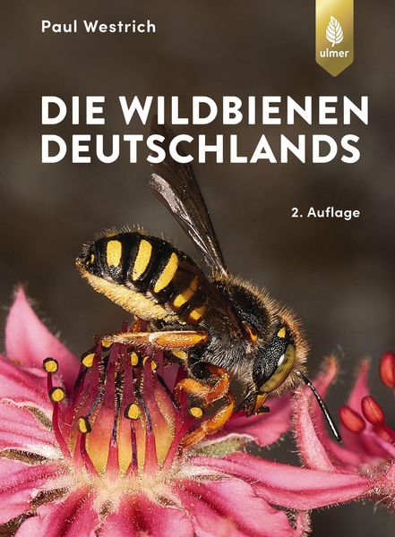 Produktbild: Die Wildbienen Deutschlands