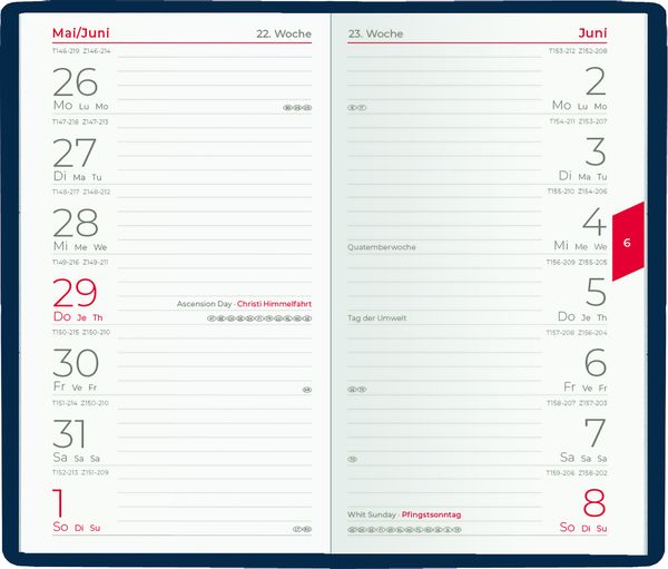 Taschenplaner Für Tagesablauf - 7 Transparente Taschen + 192 Wortkarten | 71x71cm Für Klassenzimmer & Homeschooling