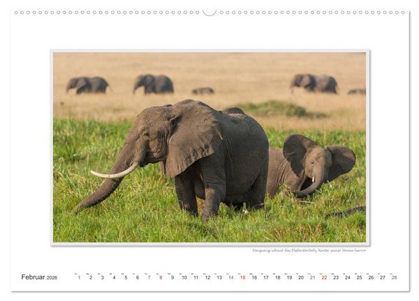 Produktbild: Emotionale Momente: Aus dem Leben der Elefanten. / CH-Version (hochwertiger Premium Wandkalender 2026 DIN A2 quer), Kunstdruck in Hochglanz