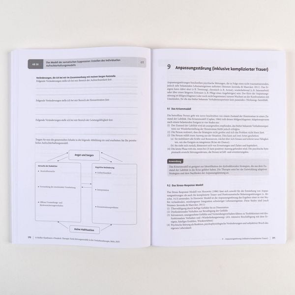Produktbild: Therapie-Tools St&ouml;rungsmodelle in der Verhaltenstherapie