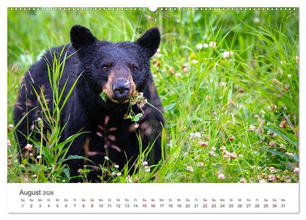Produktbild: British Columbia - Faszination Kanada (Wandkalender 2026 DIN A2 quer), CALVENDO Monatskalender
