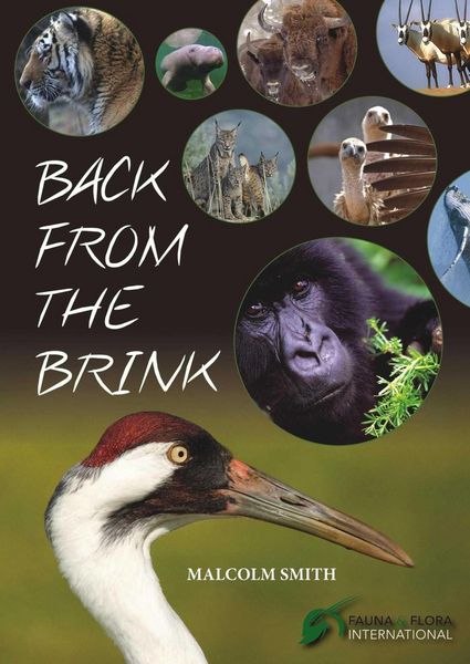 Produktbild: Back from the Brink