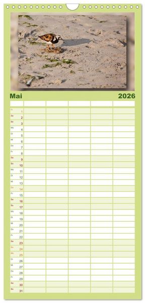 Produktbild: Familienplaner 2026 - Baltrum - Ein Tag am Strand mit 5 Spalten (Wandkalender, 21 x 45 cm) CALVENDO