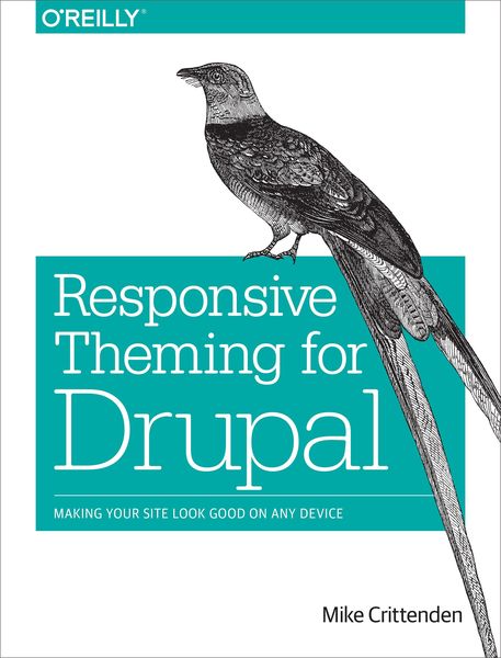 Produktbild: Responsive Theming for Drupal