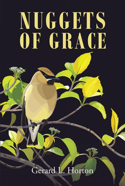 Produktbild: Nuggets of Grace