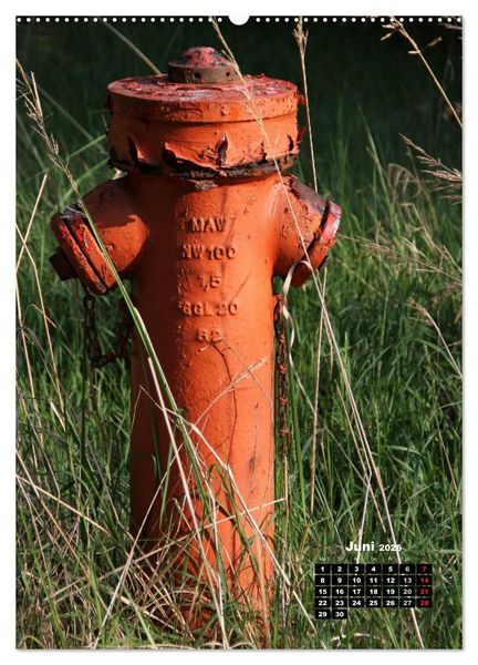 Produktbild: Nostalgie Hydranten (hochwertiger Premium Wandkalender 2026 DIN A2 hoch), Kunstdruck in Hochglanz