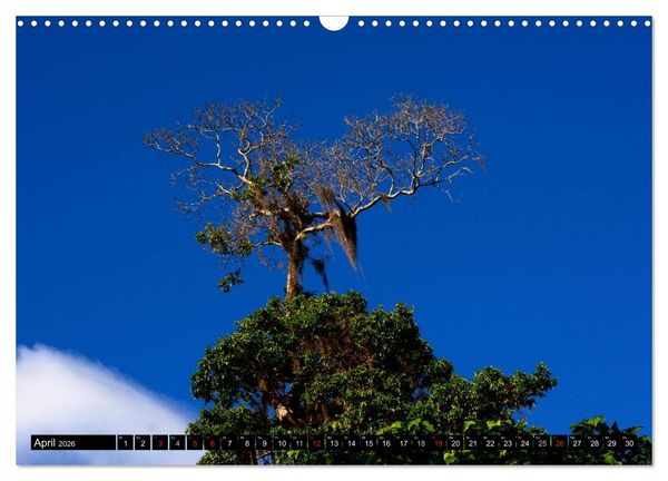 Produktbild: Faszination Venezuela (Wandkalender 2026 DIN A3 quer), CALVENDO Monatskalender