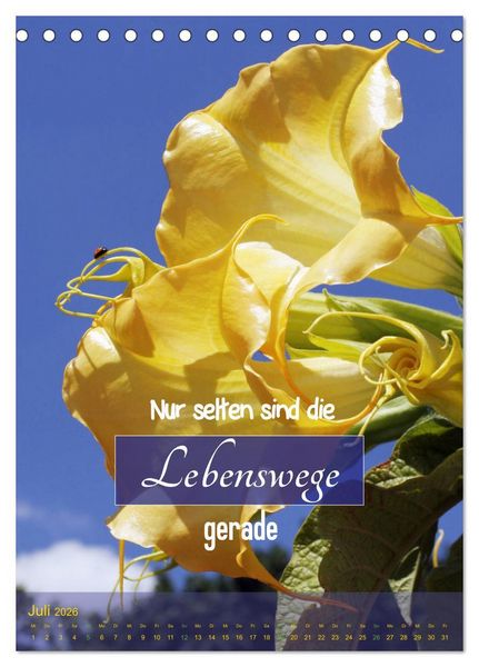 Produktbild: Lebensfreude in harten Zeiten (Tischkalender 2026 DIN A5 hoch), CALVENDO Monatskalender