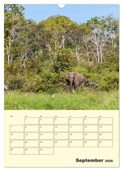 Produktbild: ELEFANTEN - Asiens graue Riesen (Wandkalender 2026 DIN A3 hoch), CALVENDO Monatskalender