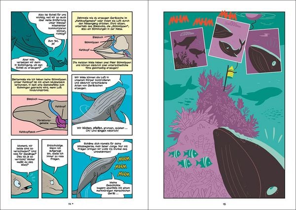 Produktbild: Superbrain-Comics - Die Geheimnisse der Wale