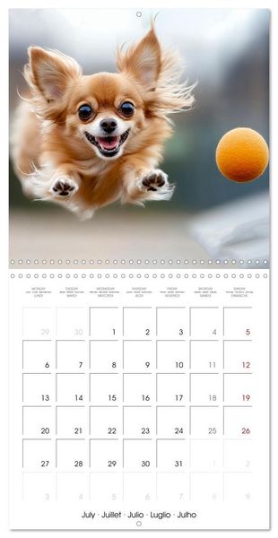 Produktbild: Cute Chihuahua (Wall Calendar 2026 12 &times; 12 Inch) CALVENDO 12 Month Wall Calendar