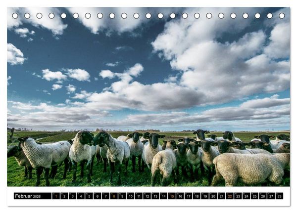Produktbild: Tr&auml;umende Bilder - Die Nordseehalbinsel Eiderstedt (Tischkalender 2026 DIN A5 quer), CALVENDO Monatskalender