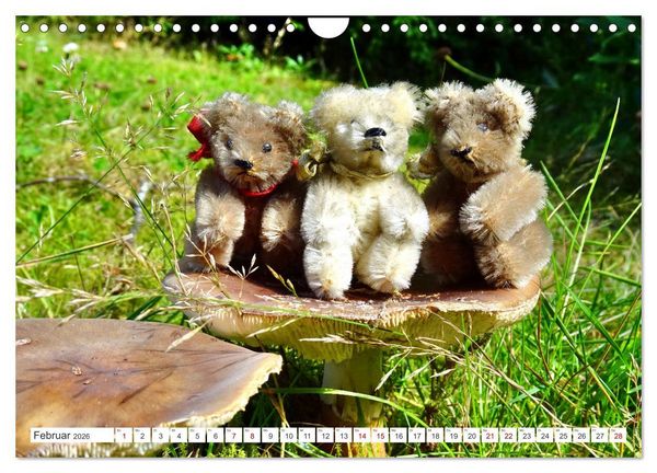 Produktbild: Pilz-Tiere (Wandkalender 2026 DIN A4 quer), CALVENDO Monatskalender