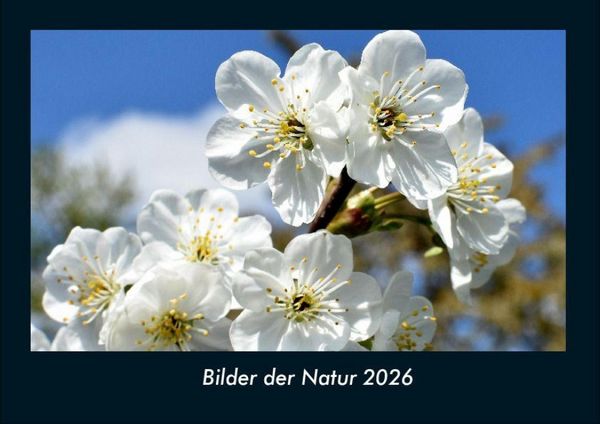 Produktbild: Bilder der Natur 2026 Fotokalender DIN A4
