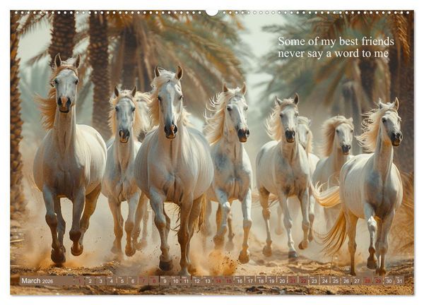 Produktbild: A Horse Makes You Complete (High Quality Premium Wall Calendar 2026 DIN A2 landscape),CALVENDO 12 Month Wall Calendar