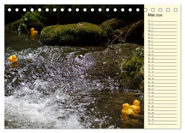 Produktbild: Enten-Rennen (Tischkalender 2026 DIN A5 quer), CALVENDO Monatskalender