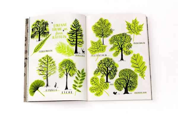 Produktbild: Mein Naturbuch &uuml;berarb. Neuauflage