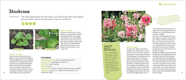 Produktbild: Wird das was oder kann das weg?