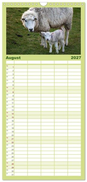 Produktbild: Familienplaner 2027 - Deichschafe - H&uuml;ter der Deiche in Nordfriesland mit 5 Spalten (Wandkalender, 21 x 45 cm) CALVENDO
