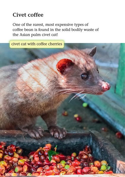 Produktbild: Yuck: Disgusting things that are surprisingly useful