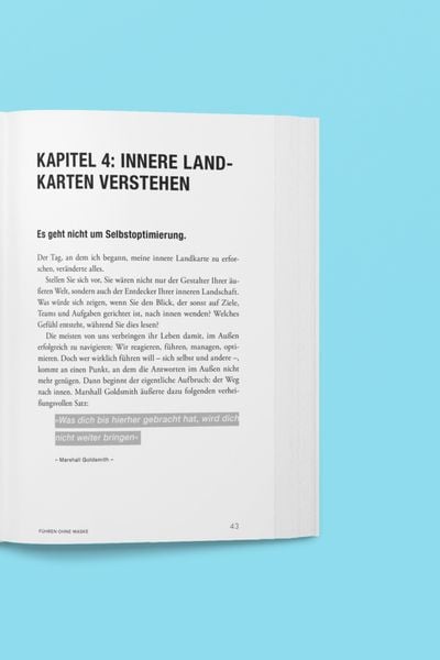 Produktbild: F&uuml;hren ohne Maske