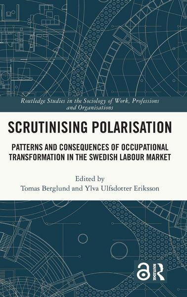 Produktbild: Scrutinising Polarisation
