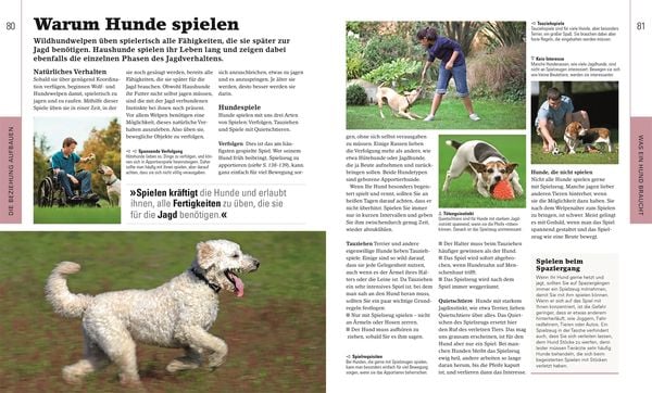 Produktbild: Hundeerziehung ganz einfach