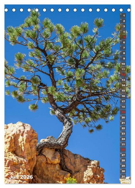 Produktbild: BRYCE CANYON Natur Pur (Tischkalender 2026 DIN A5 hoch), CALVENDO Monatskalender