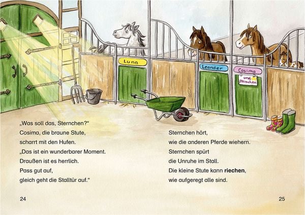 Produktbild: Lesel&ouml;wen 2. Klasse - Fohlengeschichten